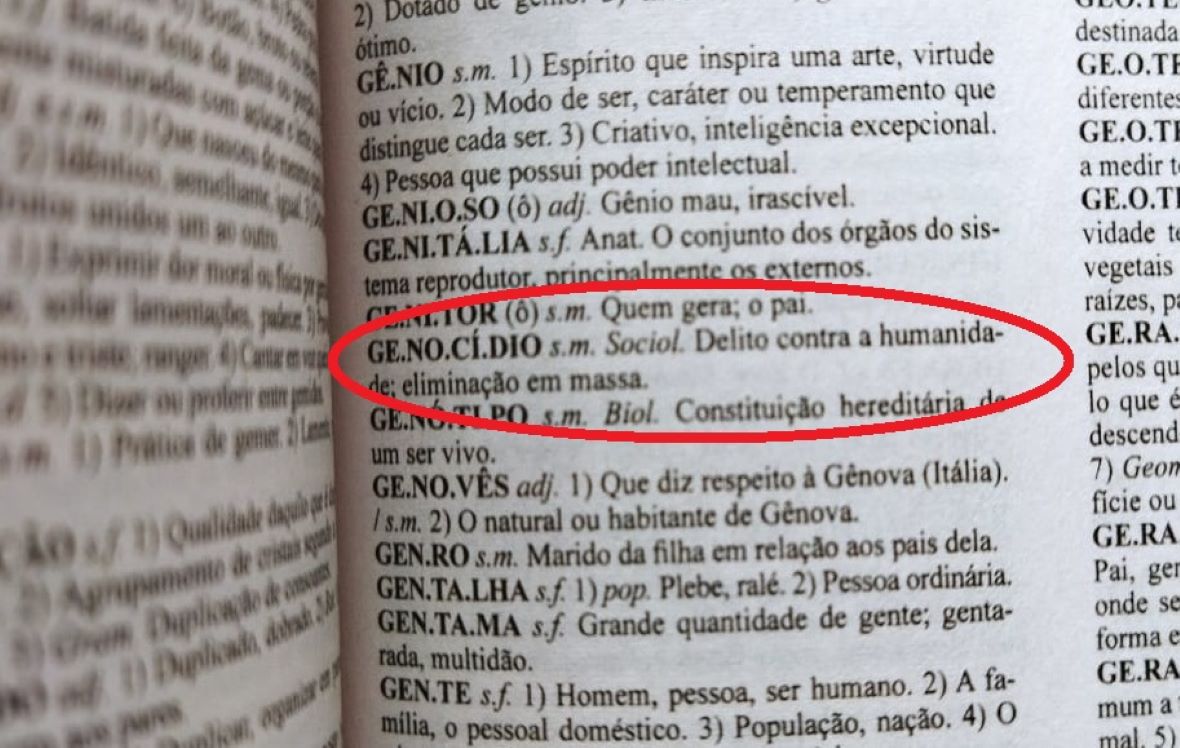 Pequeno dicionário de bolsonarês - Socialista Morena